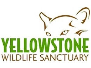 Yellowstone Wildlife Sanctuary
