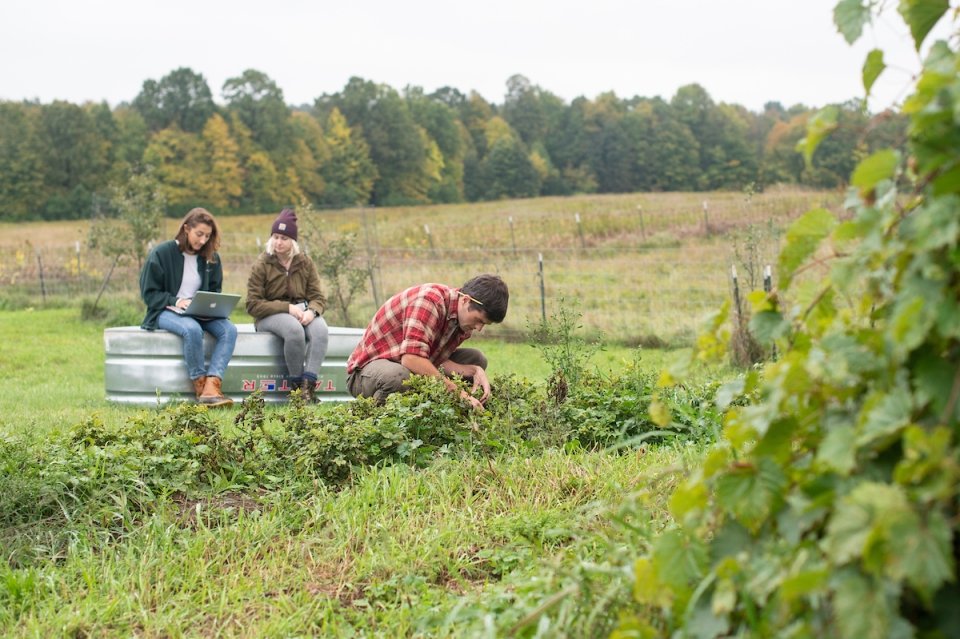 On a treelined farm, two students sit and discuss a project on their laptop while a third tends to greenery in the foreground.