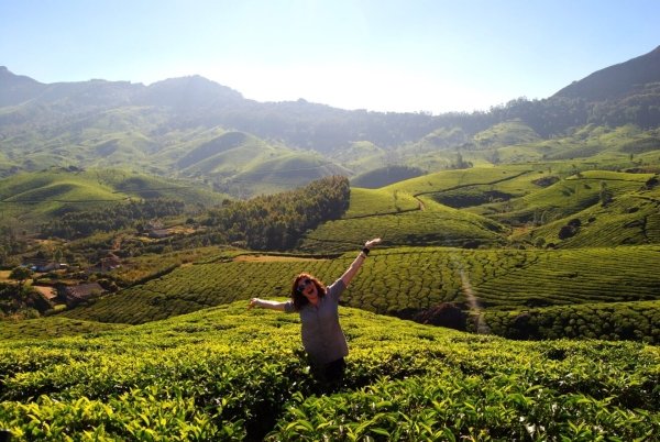 Student Stands in Sunny Green Field